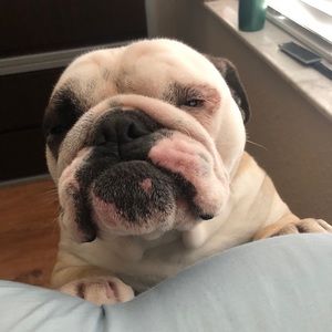 Meet your Posher, Brenden